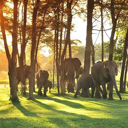 Three Cities Thorntree River Lodge ليفينغستون المظهر الخارجي الصورة