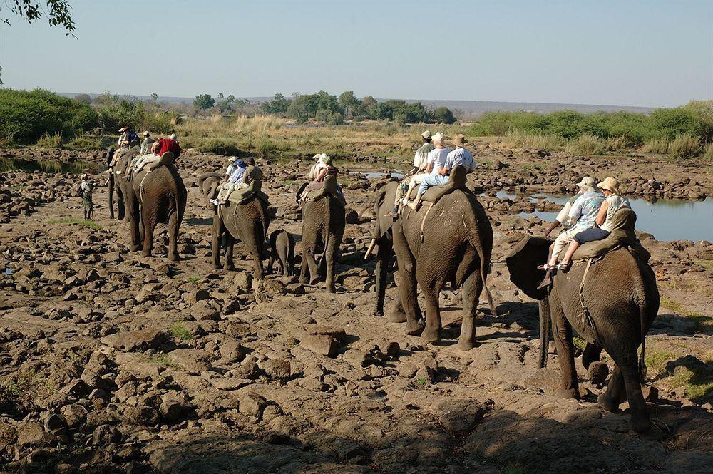Three Cities Thorntree River Lodge ليفينغستون المظهر الخارجي الصورة