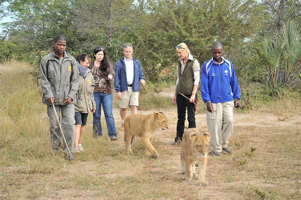 Three Cities Thorntree River Lodge ليفينغستون المظهر الخارجي الصورة