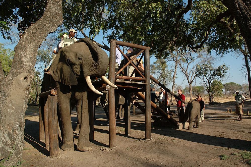Three Cities Thorntree River Lodge ليفينغستون المظهر الخارجي الصورة