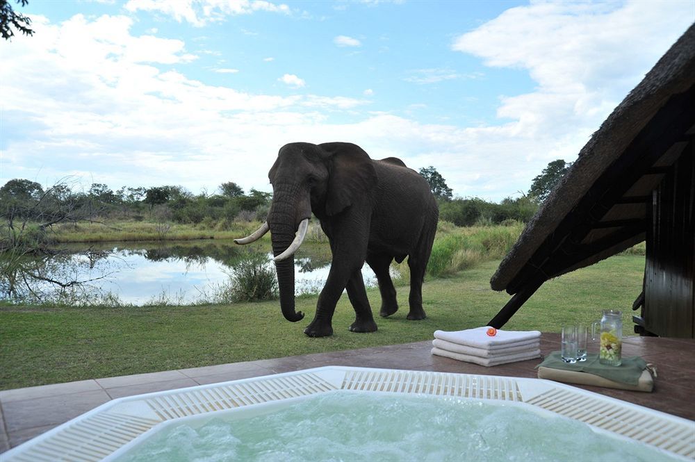 Three Cities Thorntree River Lodge ليفينغستون المظهر الخارجي الصورة