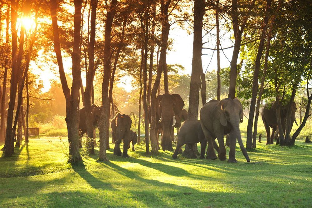 Three Cities Thorntree River Lodge ليفينغستون المظهر الخارجي الصورة